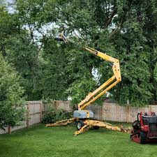 Best Lawn Watering Services  in Blennerhassett, WV
